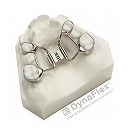 Orthodontic bracket demonstration model showing metal brackets and wires on dental cast.